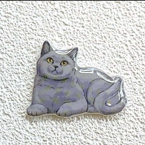 ネコ　黒猫　ブリティッシュショートヘア　ブローチ　チャーム　レジン　ヘアゴム