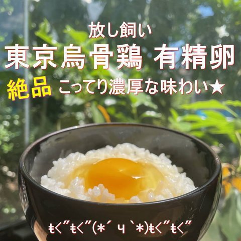 東京烏骨鶏 烏骨鶏 ３０個 有精卵 放し飼い 洗浄済み 送料無料