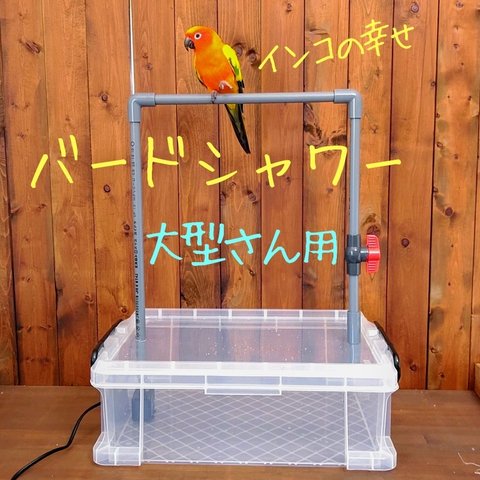 【インコの幸せ】バードシャワーL 【受注生産】