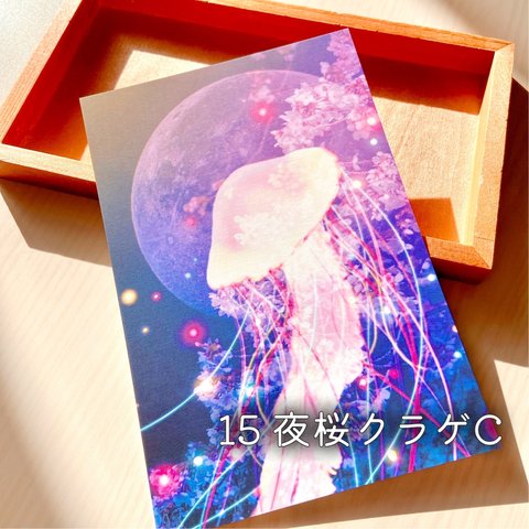夜桜×クラゲの幻想ポストカード【きのくら屋】15『夜桜クラゲC』