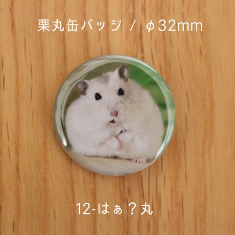 栗丸缶バッジ（32mmタイプ）【12-はぁ？丸】