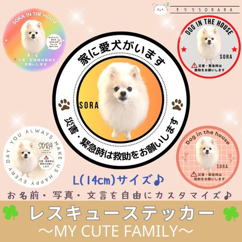 《14cm Lサイズ》レスキューステッカー My Cute Family うちの子専用 完全防水・高耐久性  送料無料 