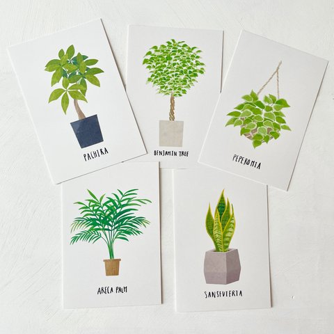 ポストカードセット ▶︎ 植物