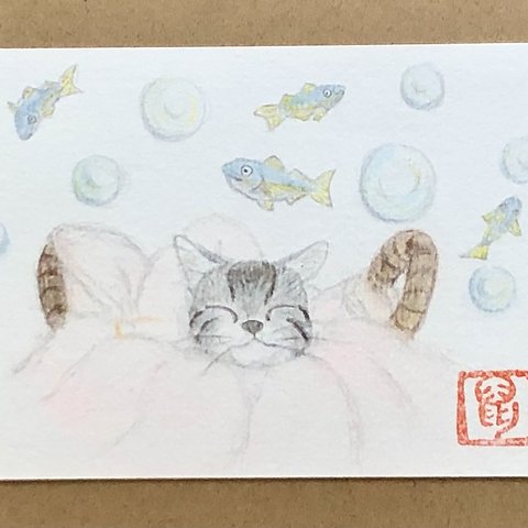 絵葉書　お魚の夢を見る猫。