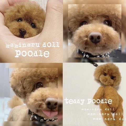 toypoodle 愛犬オーダー