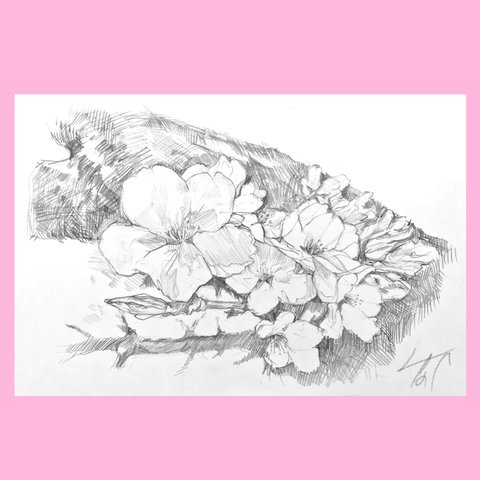 ポストカード原画「桜」鉛筆画