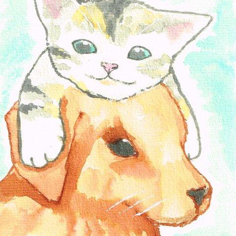 【原画ポストカード】猫帽子