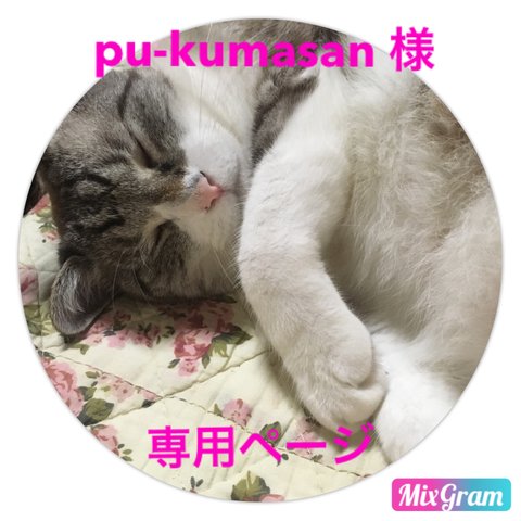 pu-kumasan  様  専用ページ