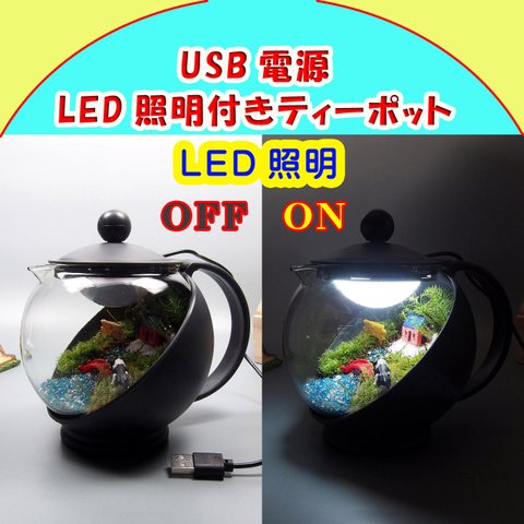 LED照明【苔テラリウム・手作りキット一式】ティーポット