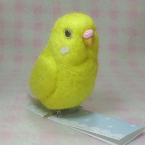  セキセイインコ ルチノ－濃赤目  mini♪☆マグネット/ブローチ どちらか選択     足有に変更可能 　羊毛フェルト　 鳥のオブジェ  受注制作