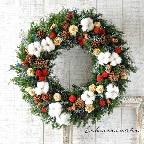 ✽翌日発送✽オリジナルカラーのナッツが楽し気✽木の実たっぷり大きめリース　【Xmas harvest wreath Lsize】