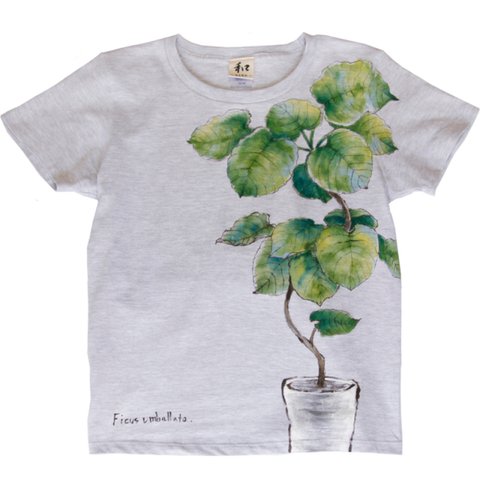観葉植物 フィカス・ウンベラータ 手描きTシャツ