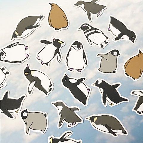 ペンギンフレークシール【通販および対面イベント限定】