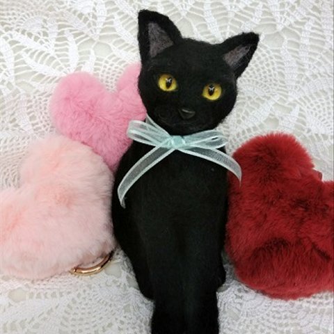 黒猫ちゃん