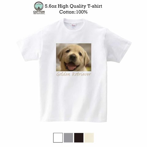 送料無料☆【Tシャツ】ゴールデンレトリバーの子犬　5.6oz Cotton:100%