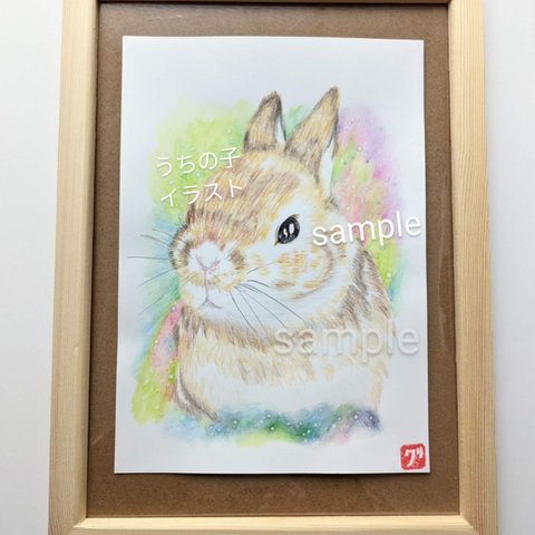 ペット似顔絵  うさぎの絵　うさぎイラスト   うさぎ似顔絵、ネザーランド　見本 k2