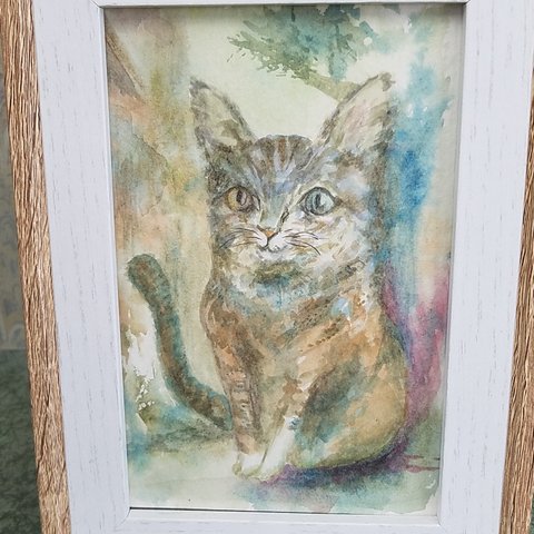 水彩画　猫