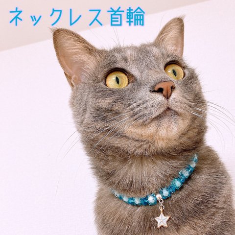 猫の首輪🐈水色系ビーズ✨ネックレス首輪♡ヒトデチャーム𓇼