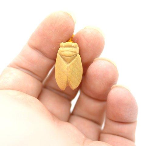 netsuke【小根付　蝉】④