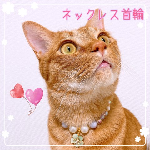 猫の首輪🐈パープルビーズ✨ネックレス首輪♡お花チャーム🌼