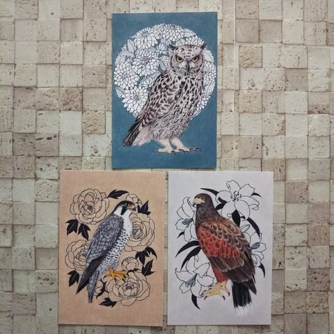 ポストカード 3枚組   猛禽類 と 花