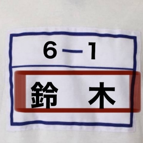 体育　ゼッケン　ネームアイロンプリント　シート　オーダー　野球練習着　名前　作ります！！※即購入はしないでください。