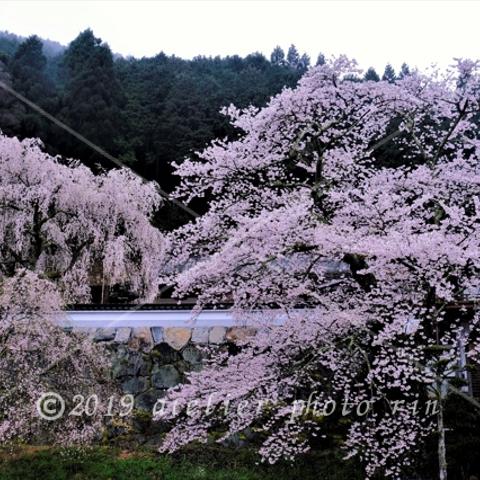 B-28兵庫県　玉林寺・1