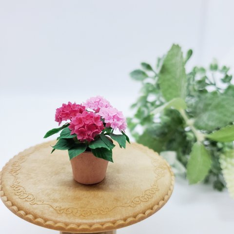 ミニチュア紫陽花✱鉢植え