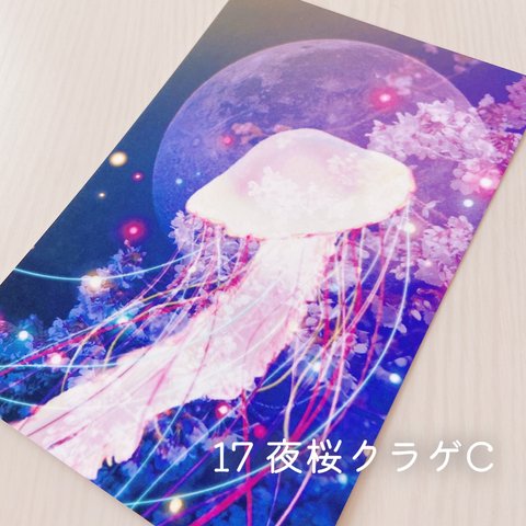 【きのくら屋】17 幻想的なクラゲのポストカード『夜桜クラゲC』