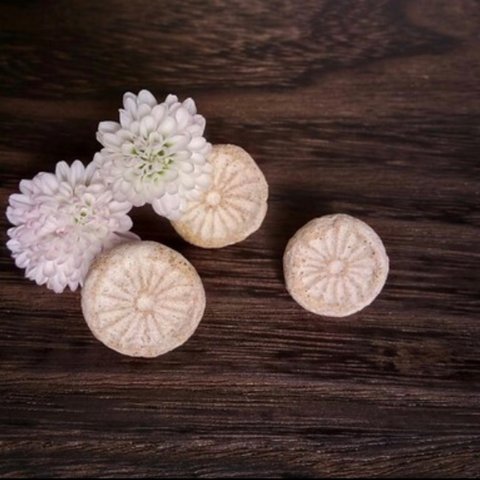 【信楽焼】スノーボール ピアス　陶器　伝統工芸　イヤリング     菊　シンプル　花