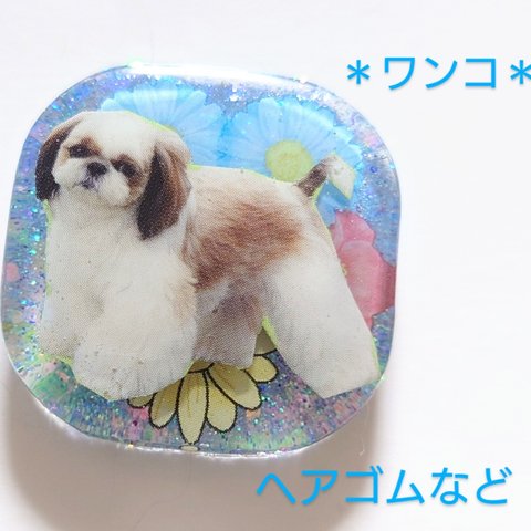 シーズーワンちゃんレジンヘアゴム✨　　シーズー　　レジン犬　　犬レジン　　　犬　　　わんちゃん　　　レジンヘアゴム　　　ヘアゴム　　　ブローチ　　　ポニーフック　　　ネックレス犬