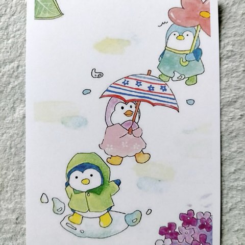 ポストカード「梅雨」「ペンギン」「お便り」「あじさい」