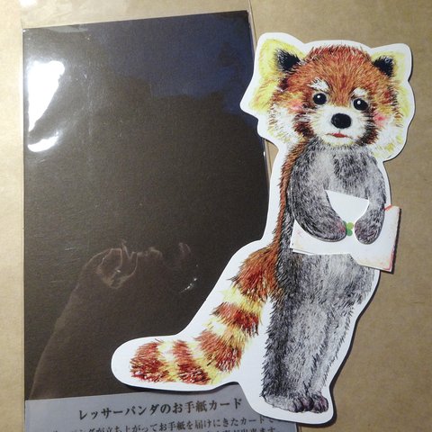 レッサーパンダのお手紙カード