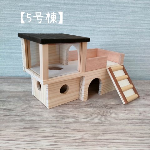 木製ハムスターハウス【5号棟】