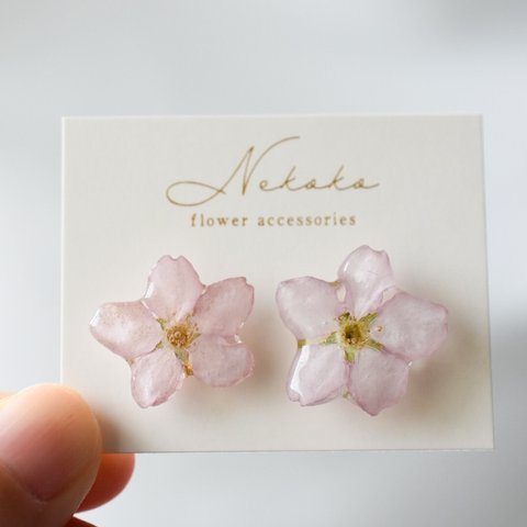 桜　さくら　ピアス　春　