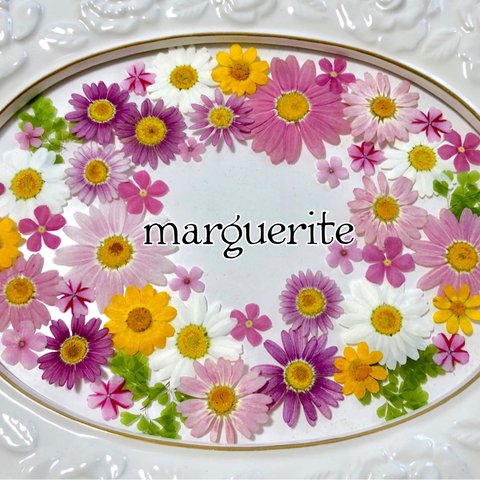 マーガレットと小花のアソート
