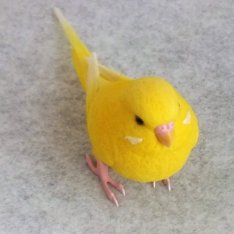 セキセイインコ　2111261