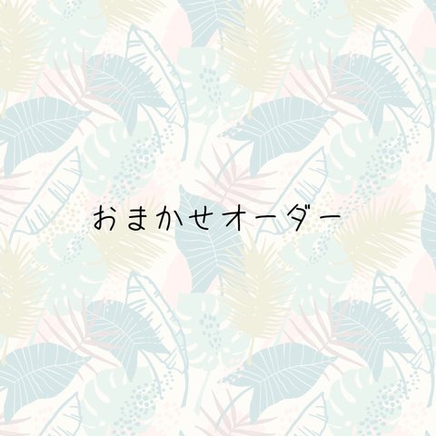 おまかせオーダー(写真と内容を必ずご覧ください)