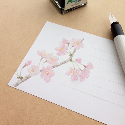 一筆箋　桜ひと枝