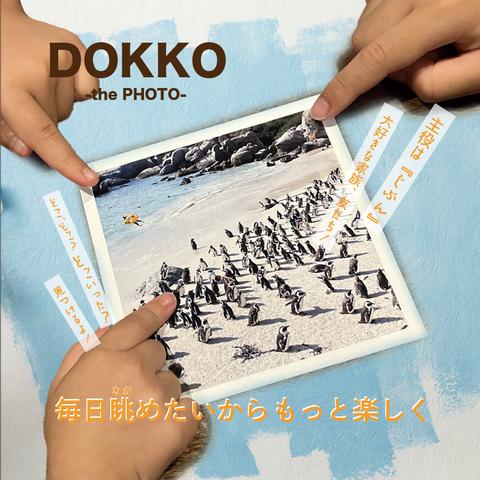 DOKKO-thePHOTO-