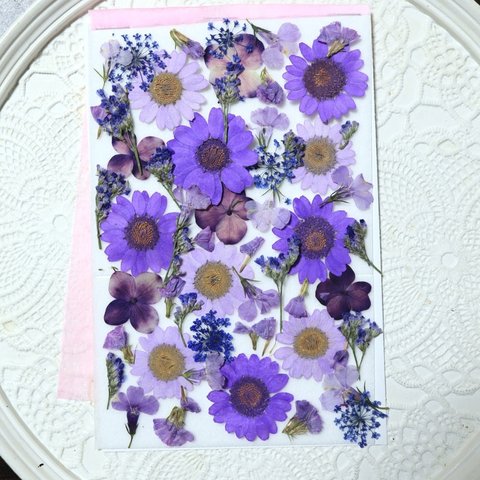 押し花紫系小花