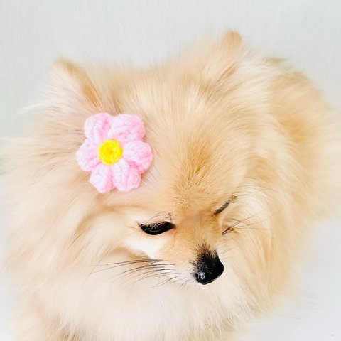 長毛犬用 ピンクのお花の頭飾り