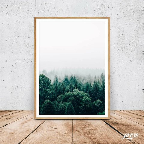 霧と針葉樹の森、フォレスト