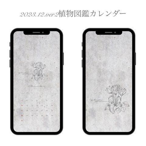 2023.12.ver2 スマホ壁紙カレンダー 植物図鑑シリーズ