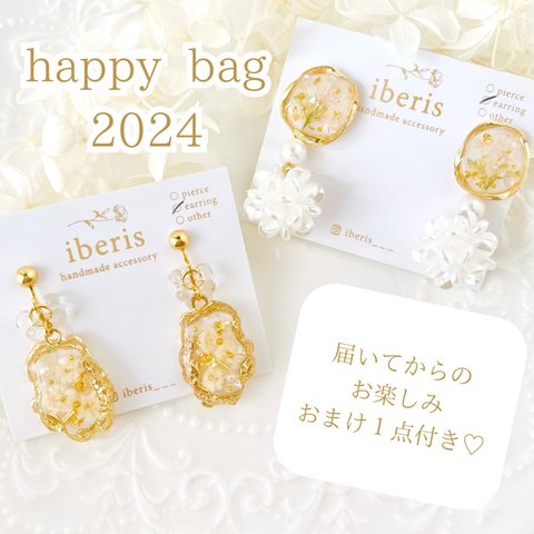 【送料無料】ｲﾔﾘﾝｸﾞ3点ｾｯﾄ ハッピーバッグ happybag 中身が見える福袋