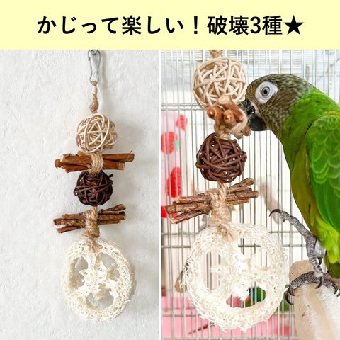 かじって楽しい！ストレス発散系インコさん用おもちゃ★