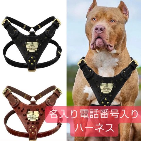 オーダーメイド　首輪　ペット　犬　猫　お名前入り　ハーネス