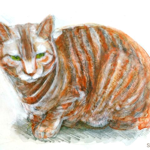 虎猫　真作　アクリル、色鉛筆絵画　F0号