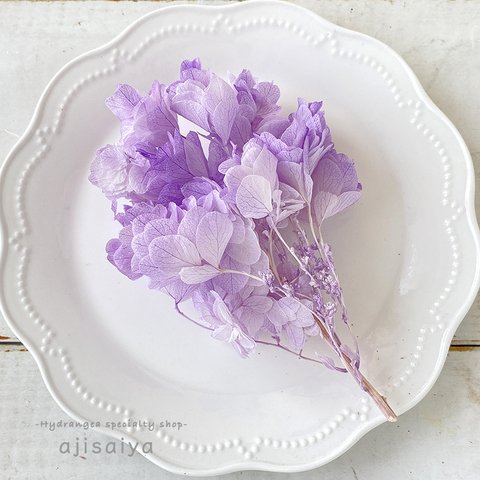 かしわばあじさい　ホワイトパープル　【プリザーブドフラワー】　紫陽花・アジサイ