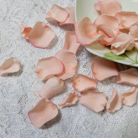 薔薇　バラ　花びらS＋　プリザーブドフラワー　ピンクコーラル　２０枚以上